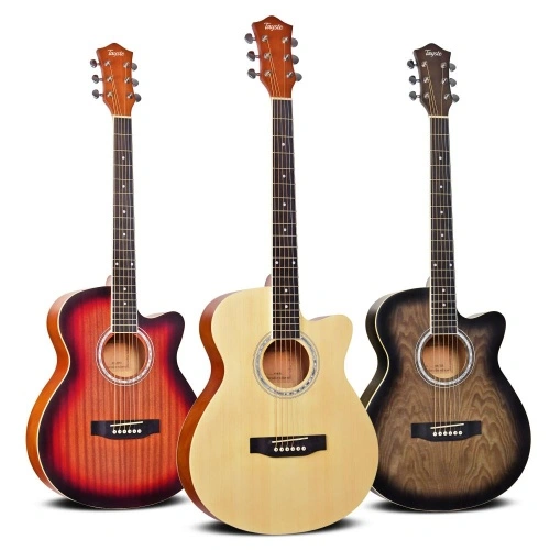 Tayste Best Selling Guitar Leading China Manufacturer